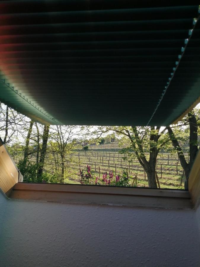 Pilikan Apartments - Park, Agroturism, Vineyard & Farm Cserszegtomaj Luaran gambar