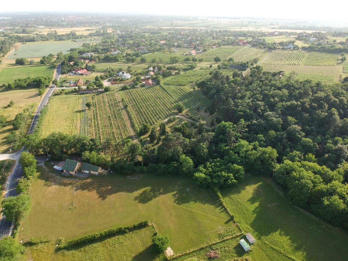 Pilikan Apartments - Park, Agroturism, Vineyard & Farm Cserszegtomaj Luaran gambar