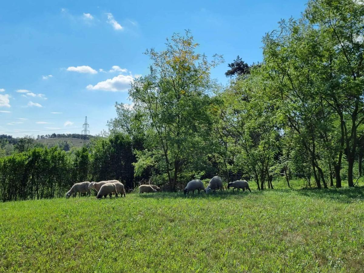 Pilikan Apartments - Park, Agroturism, Vineyard & Farm Cserszegtomaj Luaran gambar